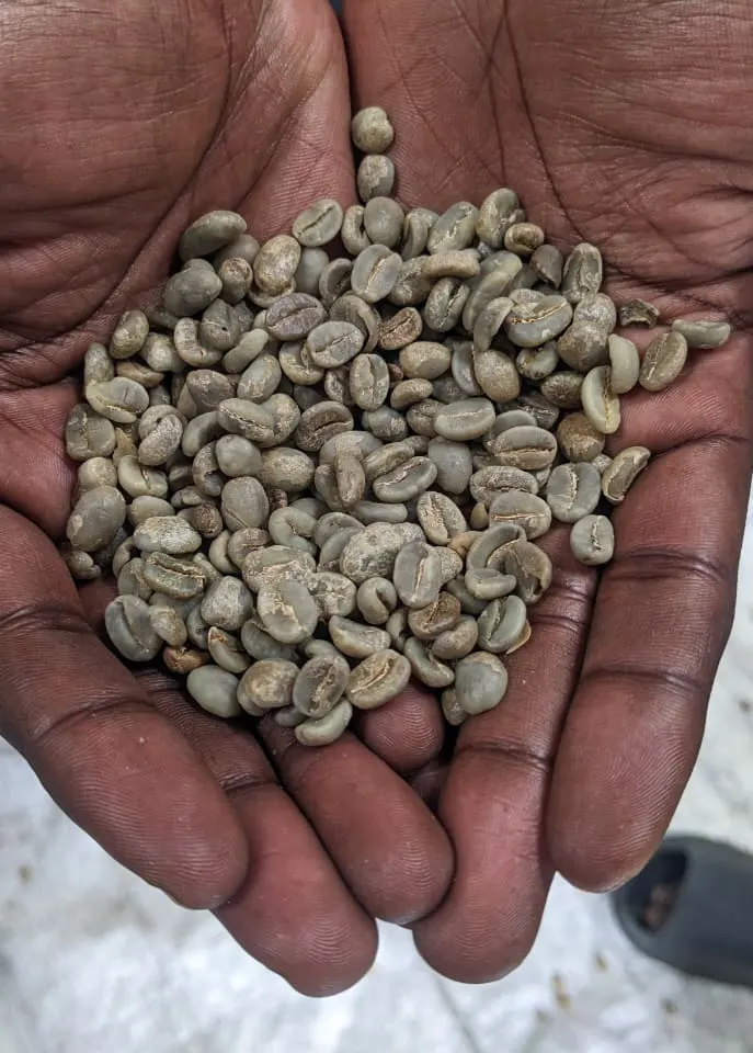 Grains de café